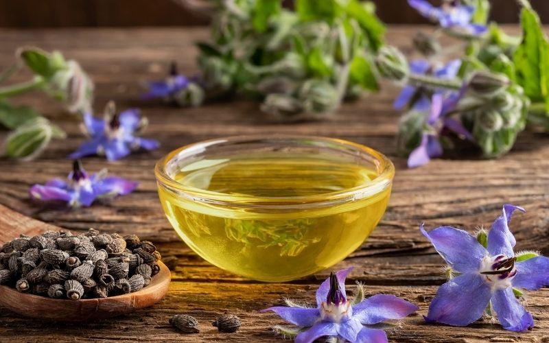 Borage oil là gì? Những công dụng tuyệt vời của Borage oil đối với làn da