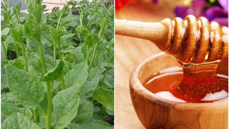 Làn da trắng sáng, hết mụn nhờ mặt nạ từ rau mồng tơi