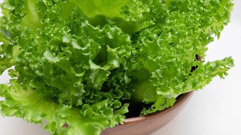 Xà lách thủy tinh là loại rau giàu dinh dưỡng, mang đến nhiều lợi ích cho sức khỏe. Hãy cùng khám phá các món ăn hấp dẫn từ xà lách thủy tinh và những điều thú vị về loại rau này.