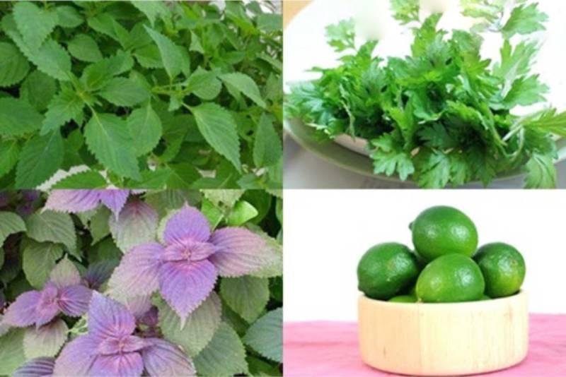 Làn da sáng bóng rạng rỡ nhờ phương pháp xông mặt dưỡng da tại nhà