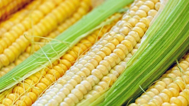 Khám phá 4 loại thực phẩm bình dân, dễ kiếm giúp thanh lọc máu và bảo vệ tim mạch một cách hiệu quả.