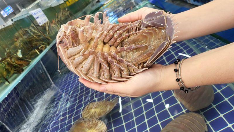 Loại hải sản này đang trở thành mục tiêu săn lùng tại các vựa hải sản, với mức giá có thể lên tới hàng triệu đồng.