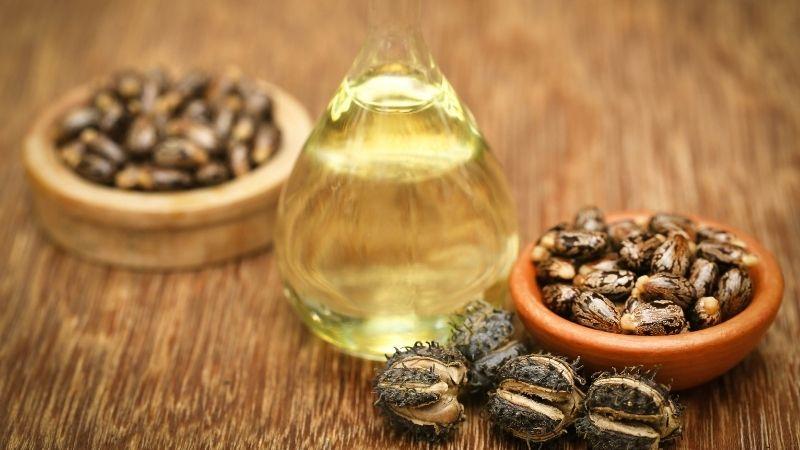 Dầu thầu dầu (Castor Oil) và ứng dụng trong lĩnh vực làm đẹp