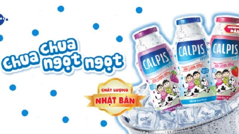 Sữa chua uống Calpis, sản phẩm từ Nhật Bản, không chỉ giúp cải thiện tiêu hoá mà còn mang đến sự dễ chịu và tinh tế trong mỗi ngụm uống.