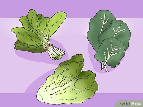 Hướng dẫn cho thỏ ăn đúng loại rau