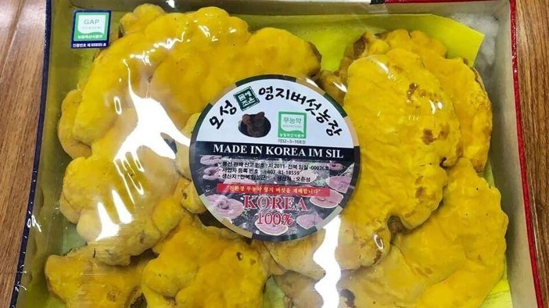 Khám phá 5 loại nấm linh chi Hàn Quốc nổi bật, được ưa chuộng nhất hiện nay.