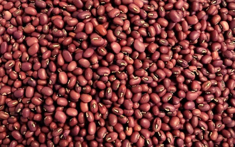 Đậu đỏ: 5 tác dụng tuyệt vời cho sức khỏe và sắc đẹp bạn không thể bỏ qua
