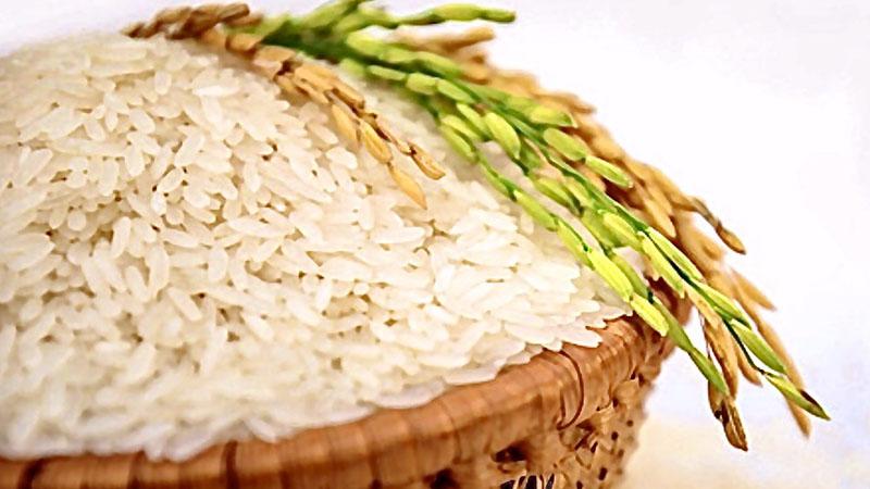 Gạo Jasmine là gì? Các loại gạo Jasmine có mặt tại Tripi