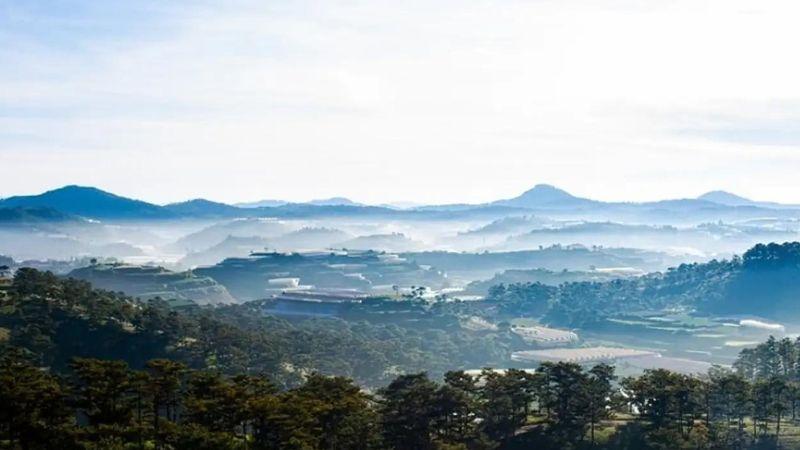 Khám phá đặc sản Lâm Đồng: 15 món ngon bạn nhất định phải thử và mang về làm quà