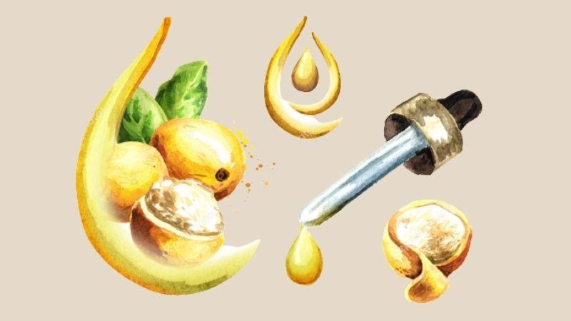 Khám phá chiết xuất dầu Marula và công dụng tuyệt vời cho làn da