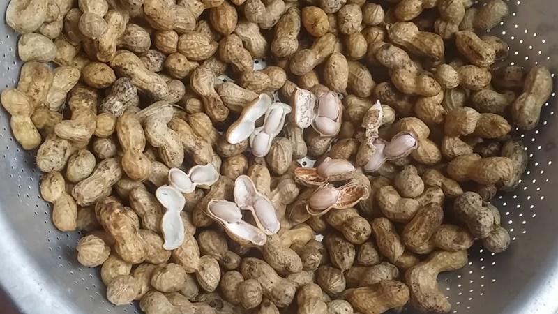 Khám phá ngay cách luộc lạc ngon, mềm ngọt, vỏ lạc không bị thâm, giúp món ăn thêm phần hấp dẫn.