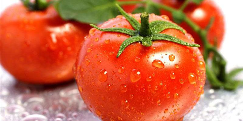 Nên lựa chọn cà chua thường hay cà chua bi?