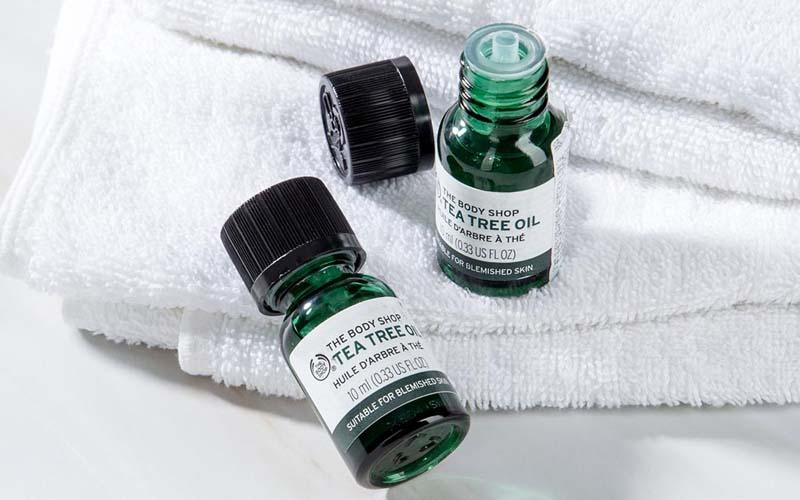 Khám phá những serum tràm trà hàng đầu giúp trị mụn hiệu quả nhất hiện nay
