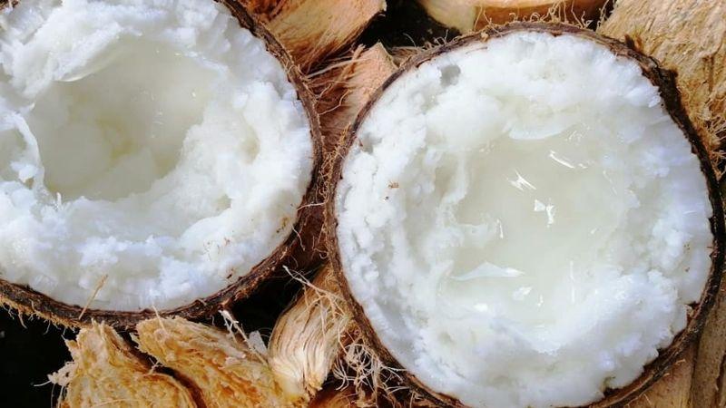 Dừa sáp là một loại dừa quý hiếm có giá trị rất cao. Vậy làm thế nào để chế biến những món ngon từ dừa sáp? Hãy cùng khám phá nhé.