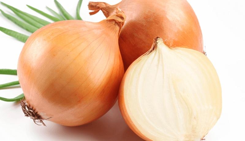 3 cách an toàn và hiệu quả để đuổi gián, kiến và muỗi trong nhà