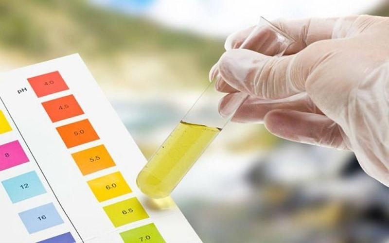 Khám phá Tromethamine và những công dụng của nó trong việc làm đẹp