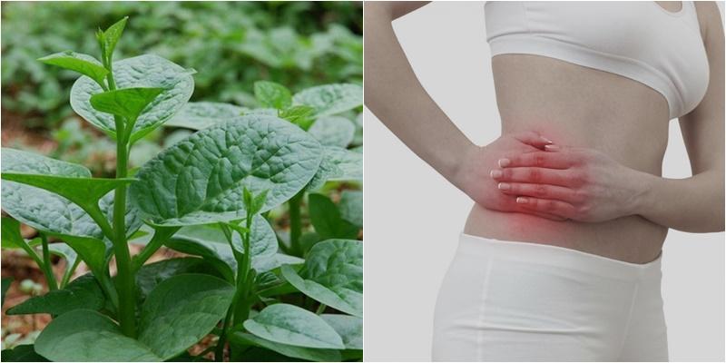 Những ai nên kiêng ăn rau mồng tơi?