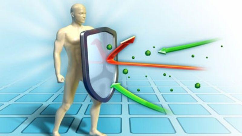 Việc thường xuyên sử dụng rau đắng sẽ mang lại những lợi ích sức khỏe tuyệt vời mà bạn chưa từng ngờ tới.
