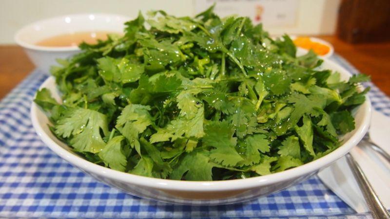 Cách bảo quản rau ngò, rau mùi để giữ trọn hương vị trong suốt cả tháng