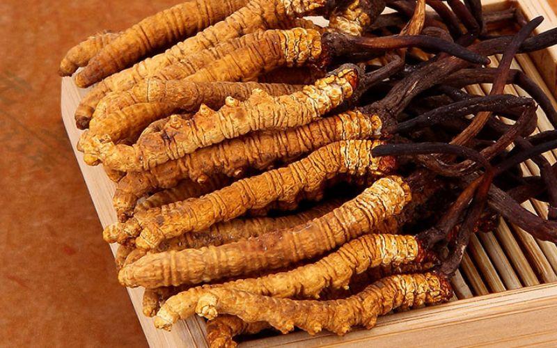 Lợi ích và cách chế biến đông trùng hạ thảo ngâm mật ong cho sức khỏe