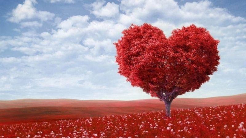 Những lời chúc ngọt ngào và đầy ý nghĩa dành cho người yêu trong dịp Valentine, giúp tình cảm thêm lãng mạn và ngọt ngào.