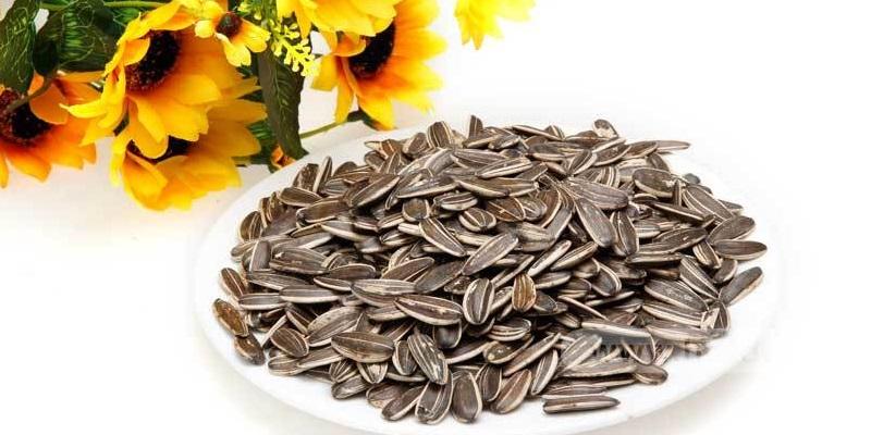 Hạt hướng dương có thực sự gây tổn hại cho não bộ? Cùng khám phá sự thật đằng sau những thông tin này.