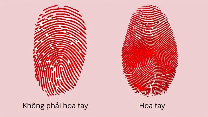 Hoa tay là gì và tại sao con số hoa tay lại mang đến những điều đặc biệt về tính cách và vận mệnh của mỗi người?