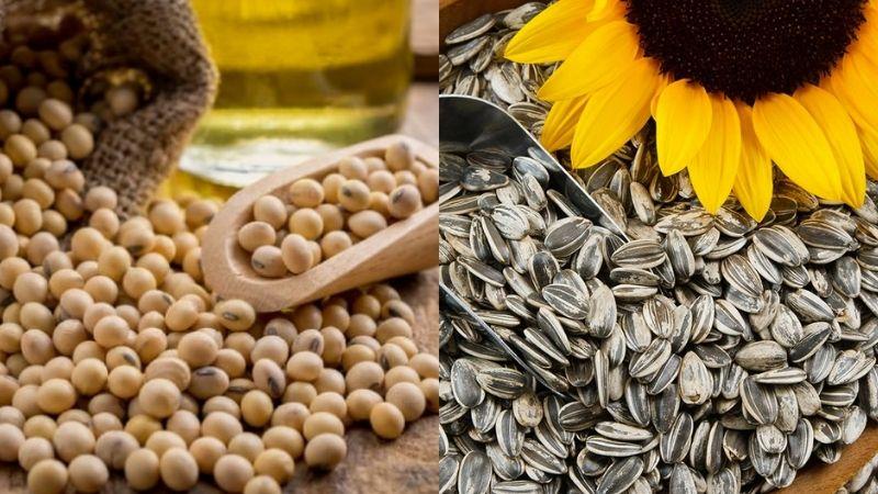 Lecithin là gì và vai trò của nó trong mỹ phẩm?