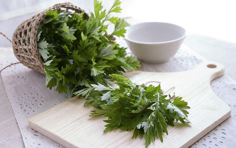 Nếu bạn đang phải đối mặt với những cơn đau lưng kéo dài, hãy thử dùng lá ngải cứu đắp lên vùng lưng bị đau. Cảm giác khó chịu sẽ nhanh chóng biến mất, mang lại sự thoải mái cho bạn.