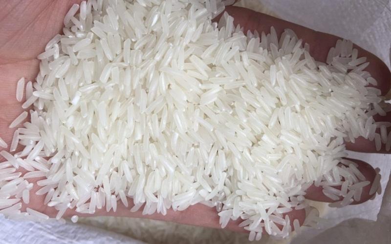Gạo ST24 là gì? Những loại gạo ST24 đặc biệt tại Tripi