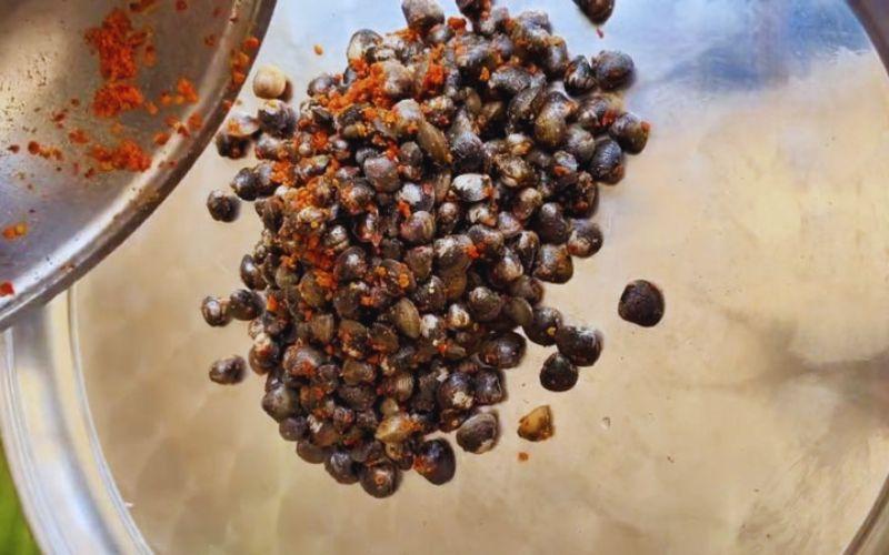 Bạn đang tìm kiếm món ăn ngon từ hến? Hãy khám phá những công thức tuyệt vời từ hến tại nhà, đơn giản nhưng đầy hấp dẫn.