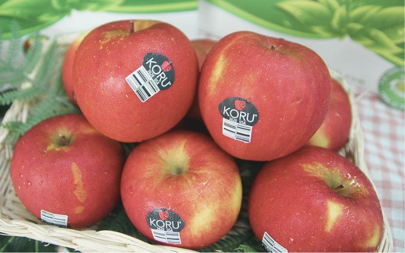 Táo Koru New Zealand là giống táo nổi bật, thu hút sự quan tâm với hương vị ngọt ngào và độ giòn đặc trưng. Cùng khám phá nguồn gốc, hương vị và giá trị của loại táo này qua bài viết dưới đây.