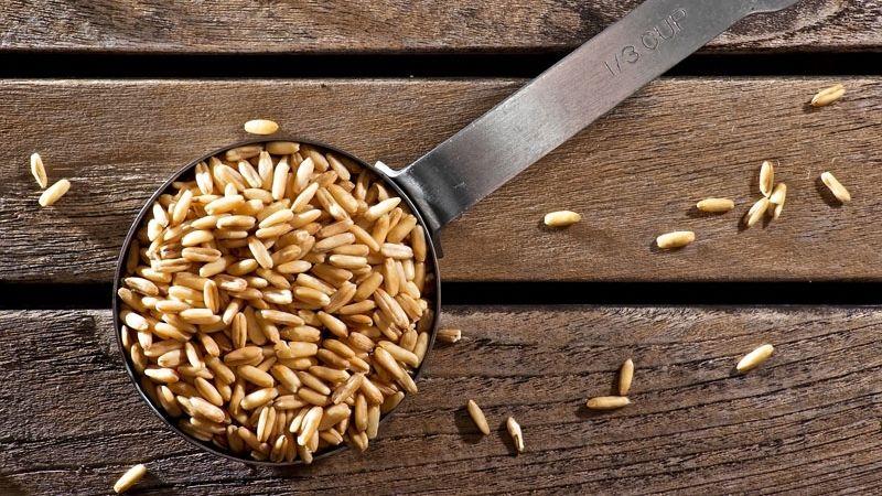 Khám phá các loại yến mạch nguyên chất