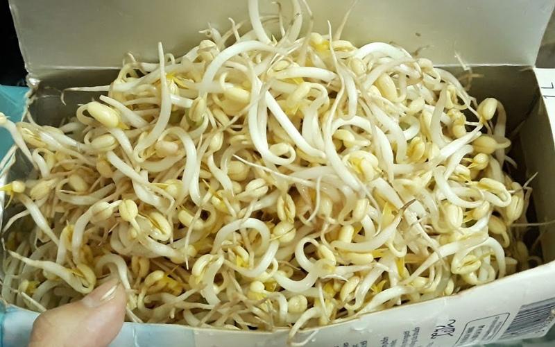 Khám phá 7 cách tái chế hộp sữa chua, sữa bột và sữa giấy vô cùng sáng tạo và hữu ích
