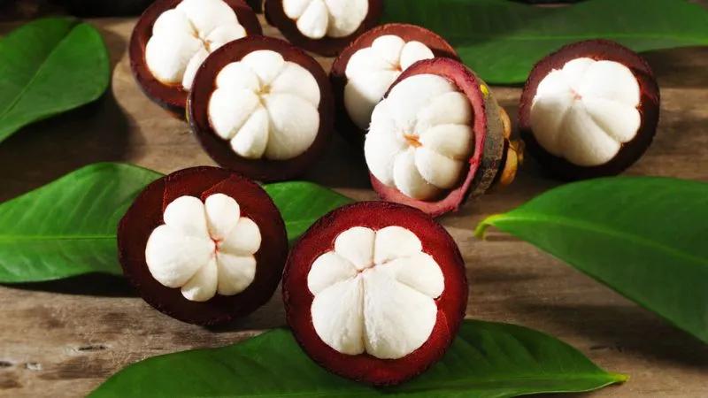 Bà bầu có nên ăn măng cụt hay không? Những điều cần lưu ý khi ăn măng cụt trong thai kỳ