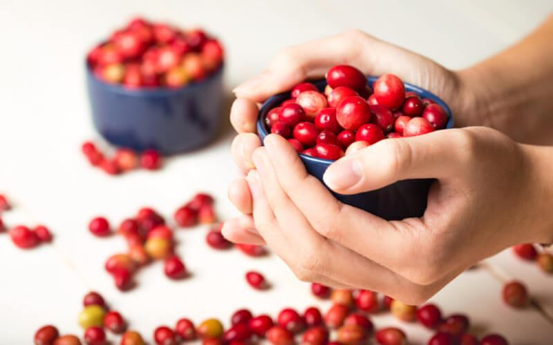 Trái nam việt quất và việt quất có thật sự giống nhau hay không? Hãy cùng tìm hiểu để khám phá những điểm khác biệt giữa chúng.