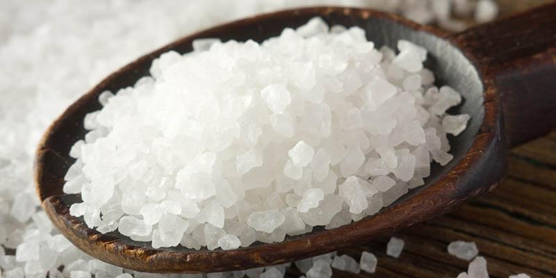 Những phương pháp diệt côn trùng trong nhà an toàn và hiệu quả mà bạn không thể bỏ qua