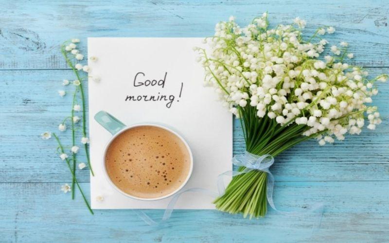 Khám phá 38 câu status chào buổi sáng đầy hài hước, ý nghĩa và tràn đầy năng lượng để khởi đầu một ngày mới thật tươi vui.