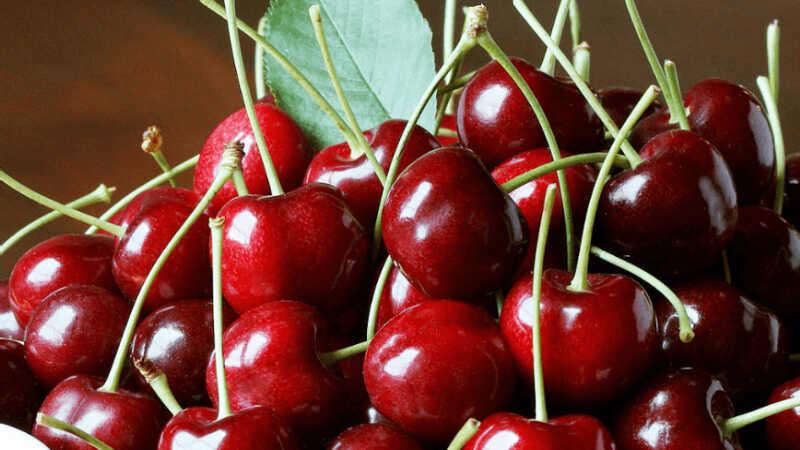 Cherry chứa bao nhiêu calo? Ăn cherry có thực sự tốt cho sức khỏe?