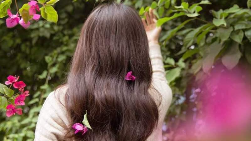 Dầu gội Hachi có thực sự tốt không? Khám phá ngay 8 dòng dầu gội Hachi được yêu thích và đánh giá cao