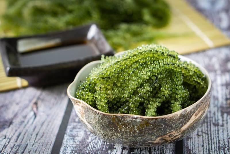 Khi nấu canh rong biển, việc chọn loại rong biển ngon là rất quan trọng để tạo nên một món ăn hấp dẫn. Vậy đâu là loại rong biển phù hợp nhất cho món canh này?