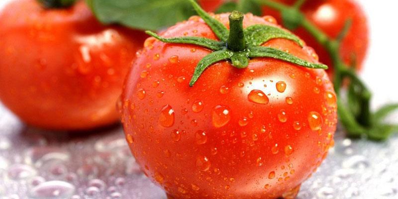 Có ảnh hưởng gì khi ăn cà chua trước bữa ăn không?