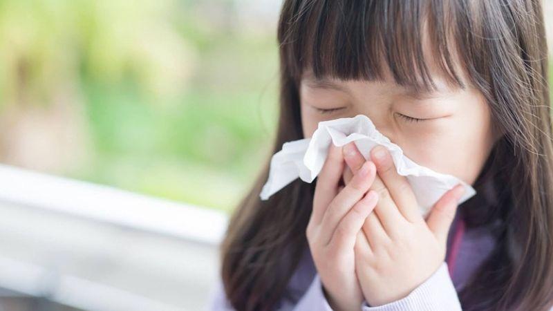 Trong mùa nồm ẩm, làm sao để chọn chế độ phù hợp cho điều hòa hoặc máy lạnh, giúp không gian trong nhà luôn khô ráo?