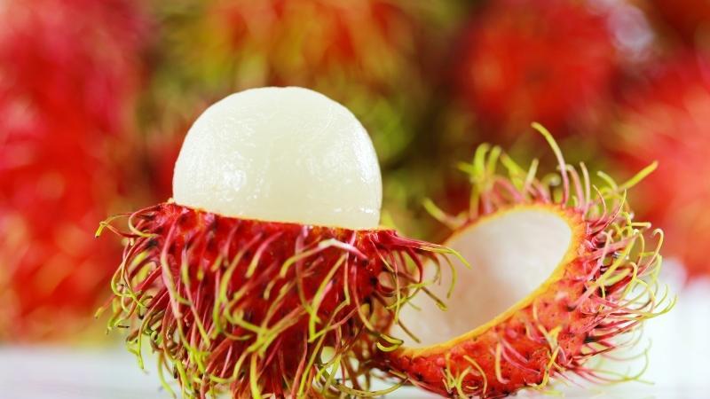 Chôm chôm: Công dụng, cách chế biến và những giống chôm chôm phổ biến