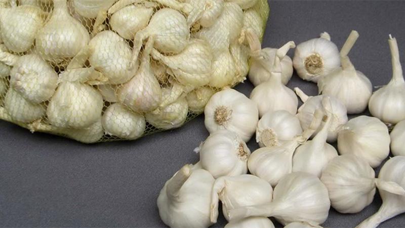 Phương pháp trị mụn bằng tỏi an toàn và hiệu quả cho làn da của bạn