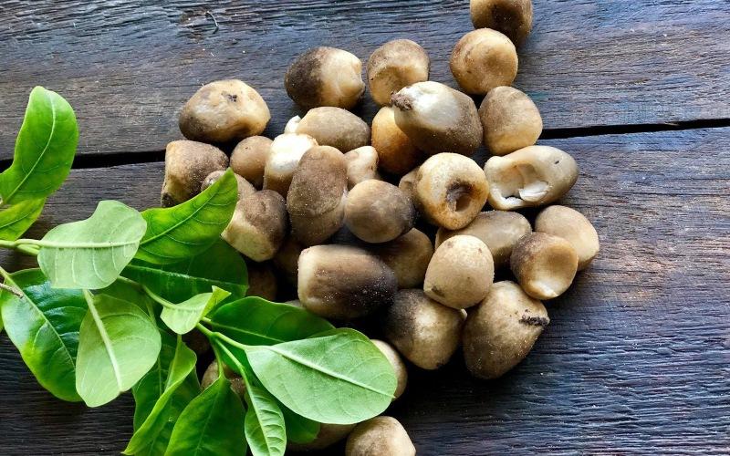 Bà bầu có nên ăn nấm rơm không? Những điều cần lưu ý khi sử dụng