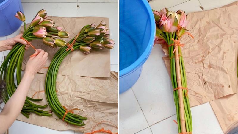 Khám phá cách cắm hoa súng vừa tinh tế vừa nhẹ nhàng, mang lại vẻ đẹp thanh khiết cho không gian sống của bạn.