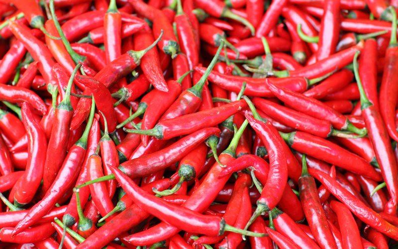 Giá ớt hôm nay 01/03/2024: Thị trường ổn định, không có biến động lớn