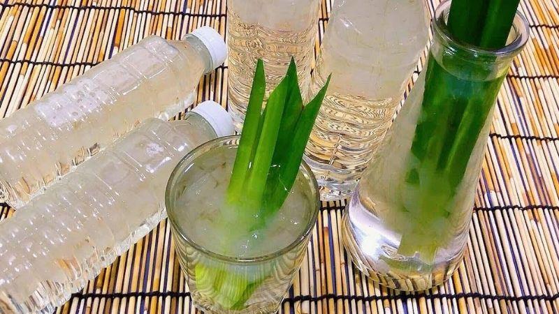 Công thức nấu nước nha đam đường phèn lá dứa giòn ngon ngay tại nhà