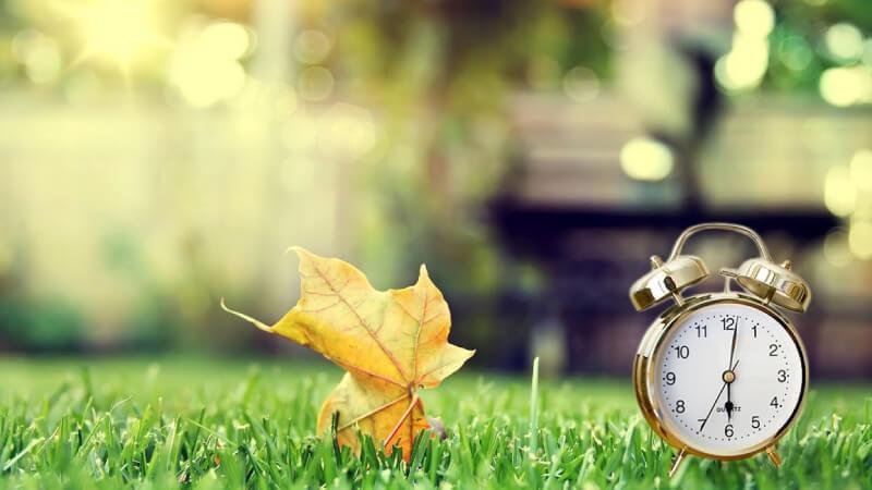 Khám phá bộ sưu tập các bài thơ chúc buổi sáng vừa ý nghĩa lại vừa hài hước, phù hợp với mọi đối tượng và nhiều hoàn cảnh khác nhau.